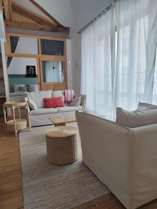Magnifique Appartement Le Nid Des Thermes バニエール・ド・ビゴール エクステリア 写真